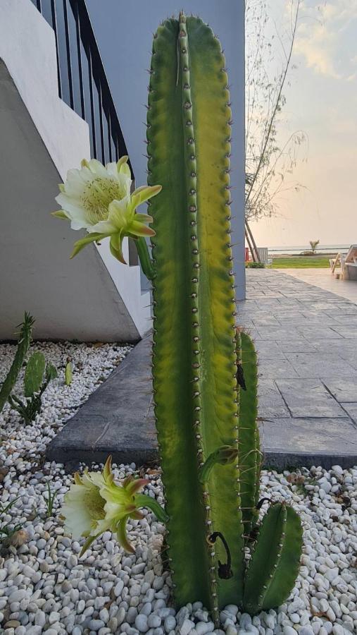 Hatchao Heritage Beach Front Resort Ban Hat Cha Samran Esterno foto
